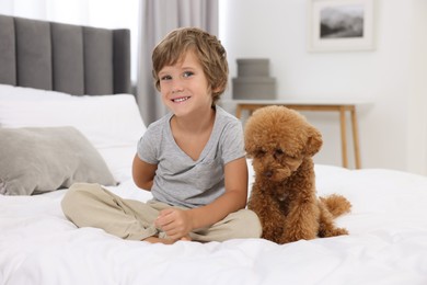 Photo of Little child and cute puppy on bed at home. Lovely pet