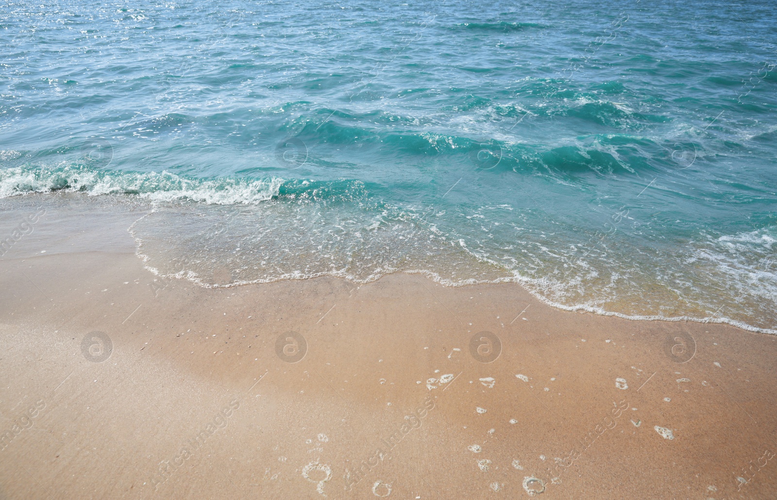 Photo of Tropical sandy beach washed by sea on sunny day