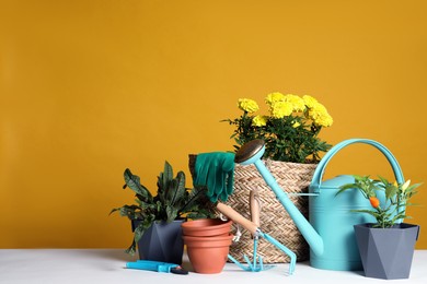 Gardening tools and houseplants on white table. Space for text