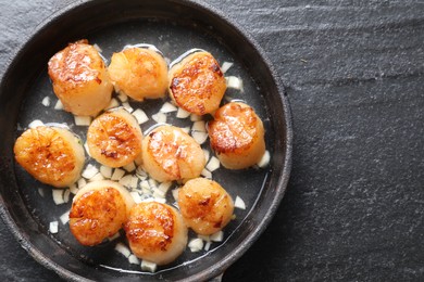 Delicious fried scallops on dark gray textured table, top view