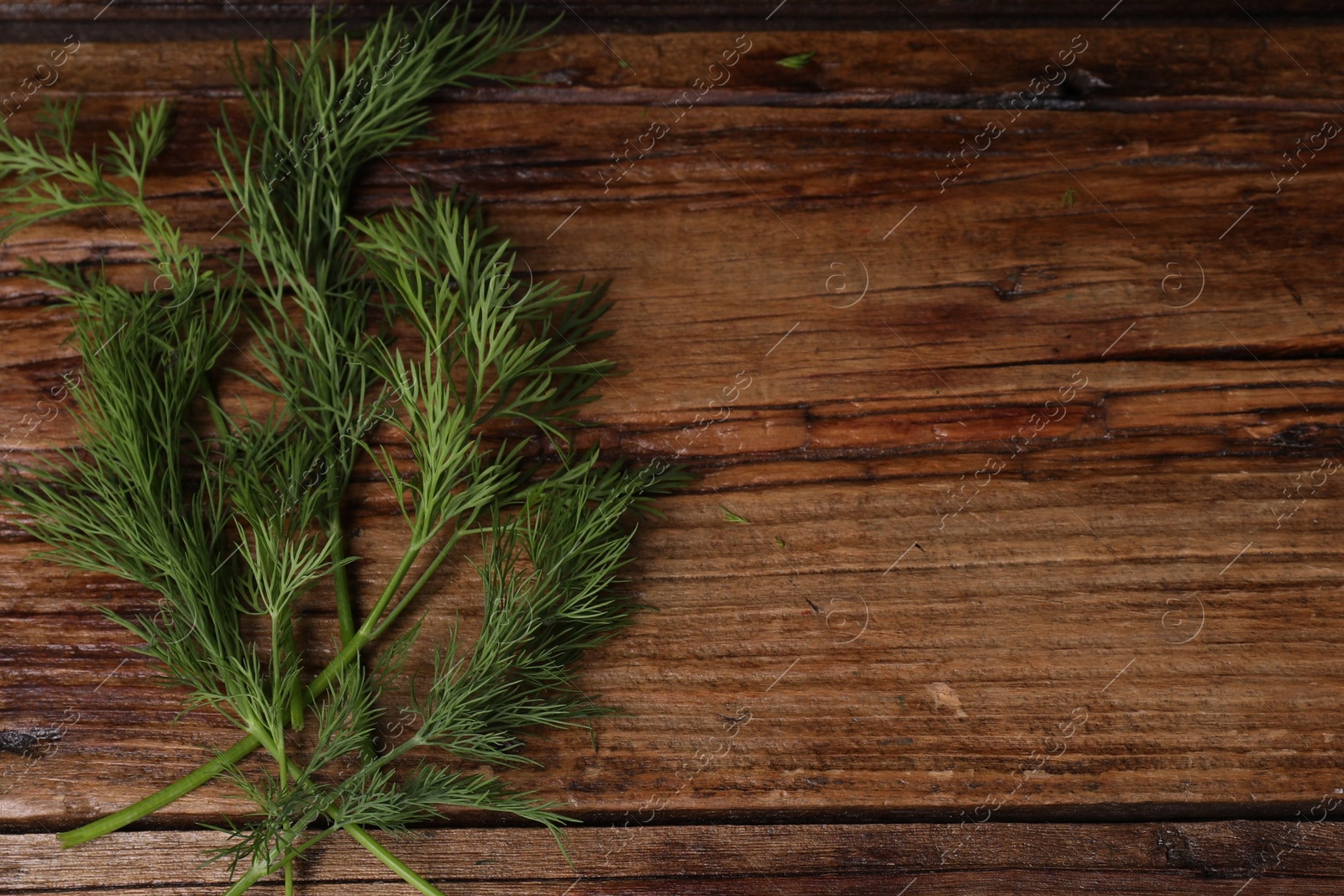 Photo of Sprigs of fresh green dill on wooden table, top view. Space for text