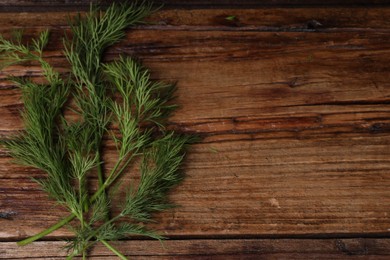 Sprigs of fresh green dill on wooden table, top view. Space for text