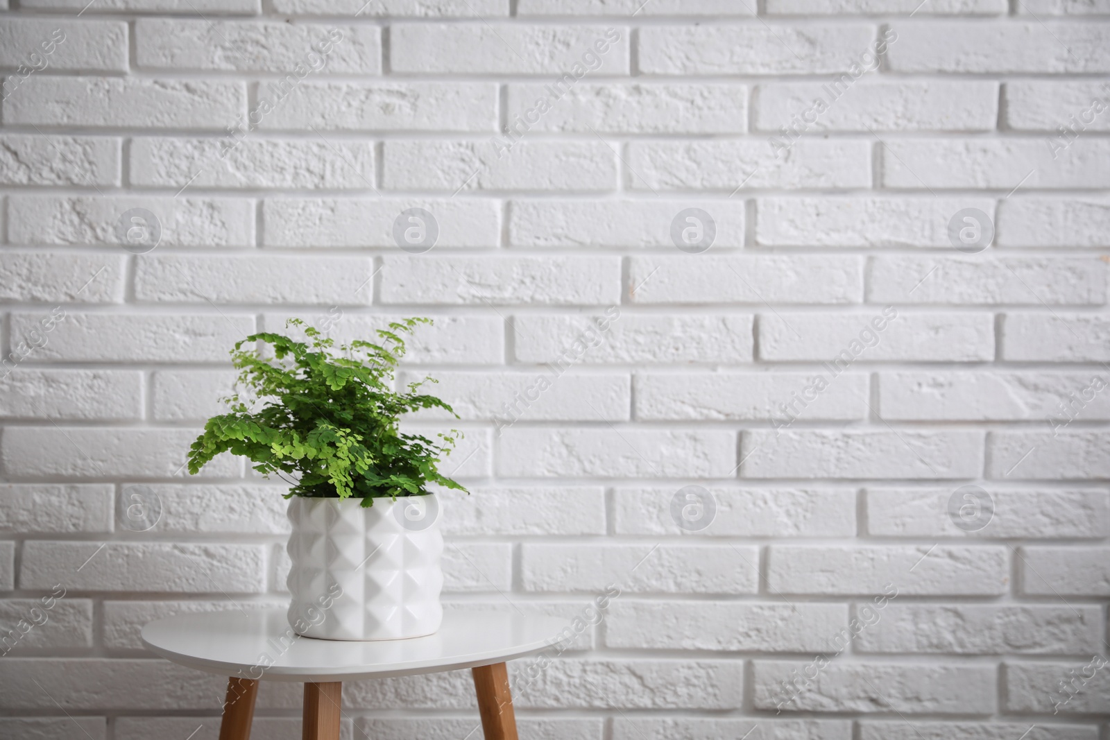 Photo of Beautiful fresh potted fern on table near white brick wall. Space for text