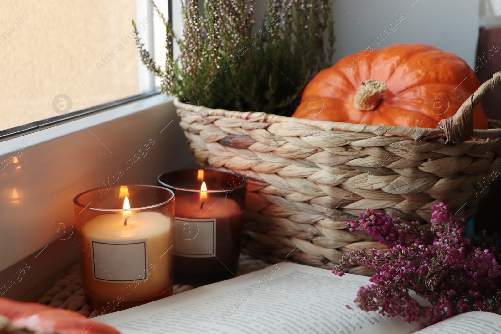 Photo of Wicker basket with beautiful heather flowers, pumpkin, burning candles and open book near window indoors
