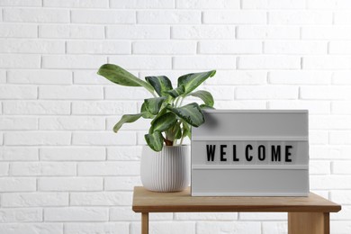 Photo of Lightbox with word Welcome near houseplant on wooden table, space for text
