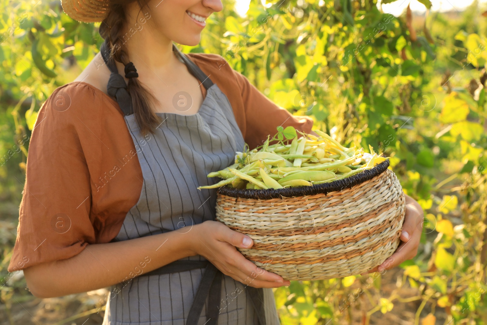 Photo of Woman holding fresh green beans in wicker basket outdoors on sunny day, closeup