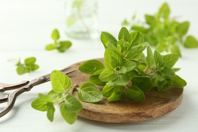 Photo of Sprigs of fresh green oregano and scissors on white wooden table, closeup