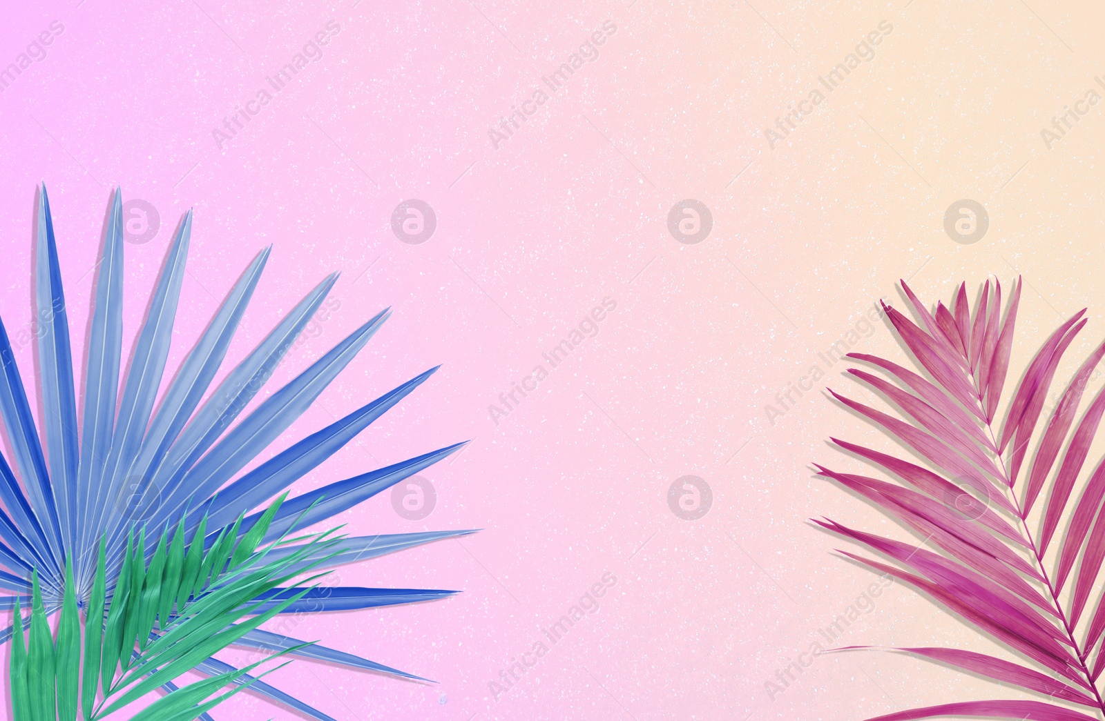 Image of Colorful tropical leaves on bright background, flat lay. Creative design