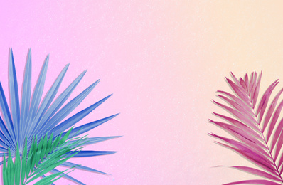 Image of Colorful tropical leaves on bright background, flat lay. Creative design