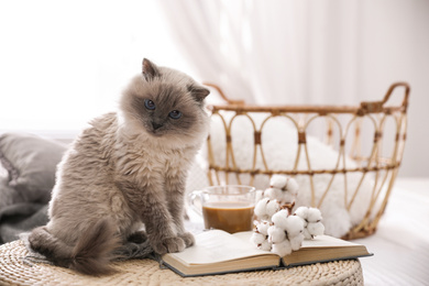 Photo of Birman cat and book on wicker pouf at home. Cute pet