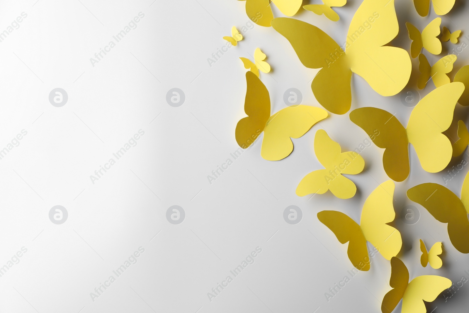 Photo of Yellow paper butterflies on white background, top view. Space for text