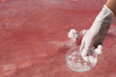 Laboratory worker with Petri dish taking sample from pink lake for analysis, closeup