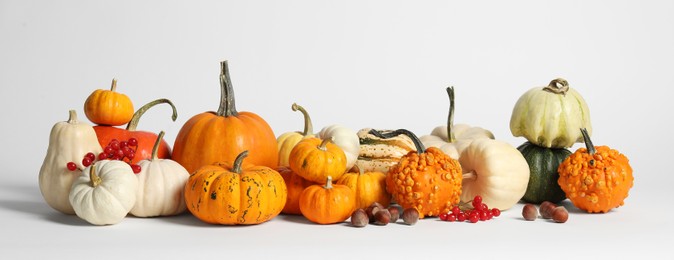 Photo of Thanksgiving day. Beautiful composition with pumpkins on white background