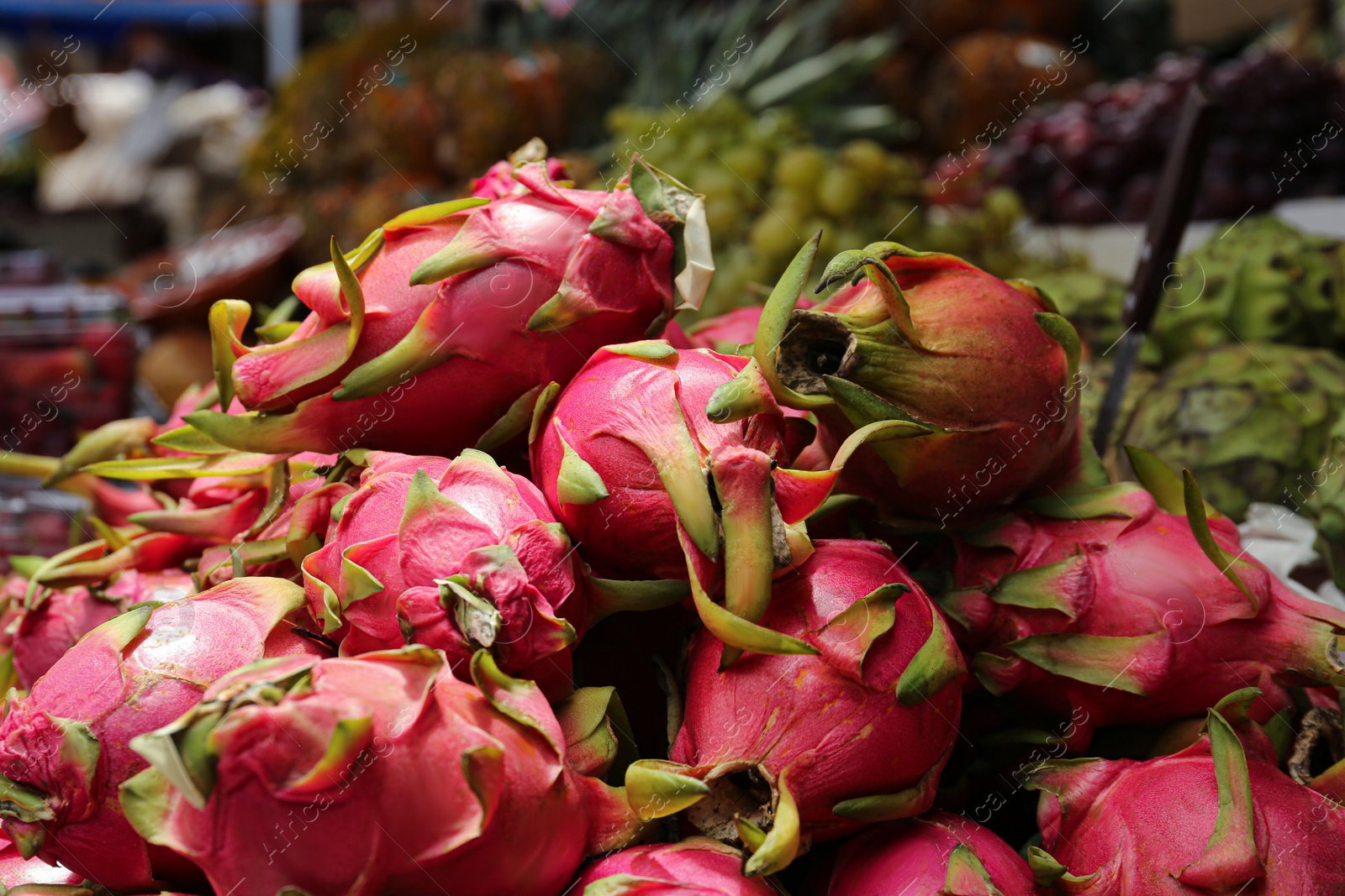Photo of Pile of delicious fresh ripe pitahayas at market, closeup