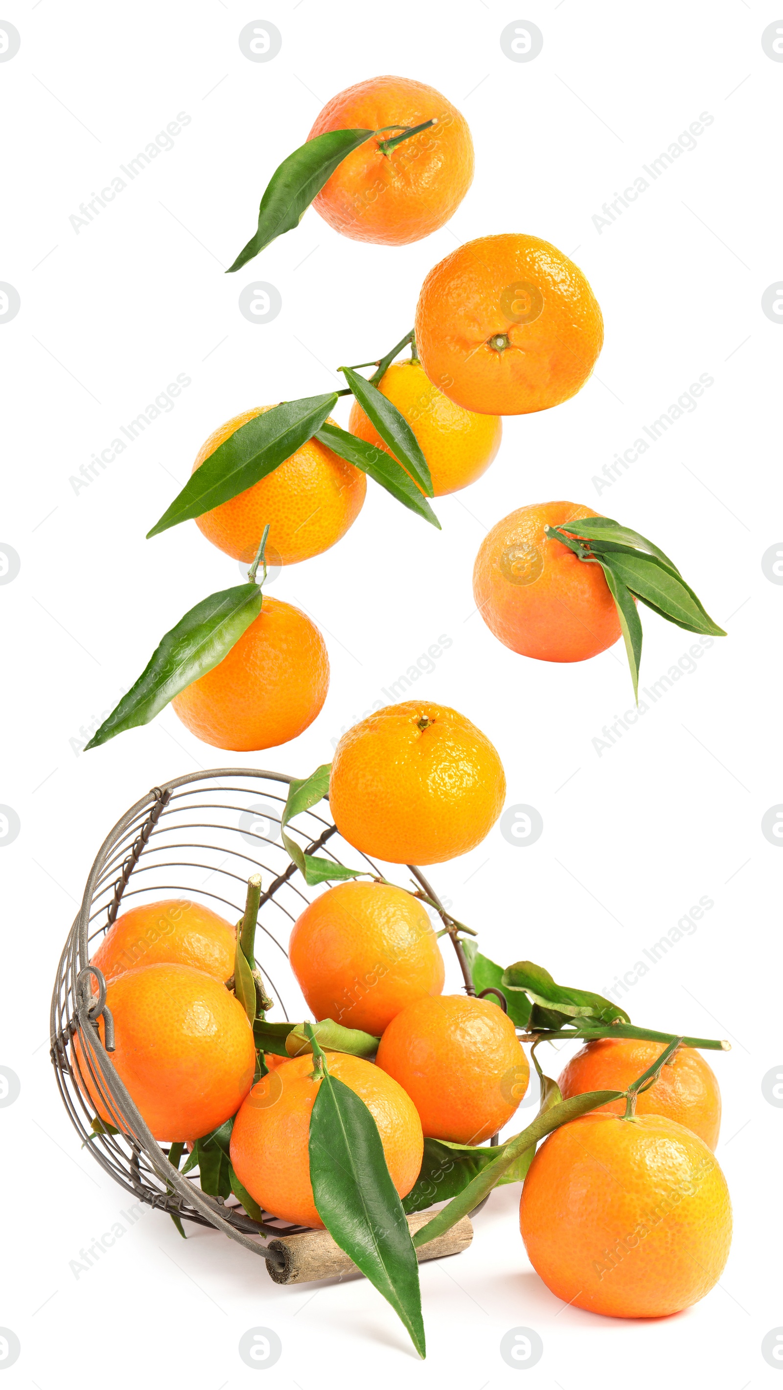 Image of Set of fresh ripe tangerines falling on white background