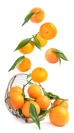 Image of Set of fresh ripe tangerines falling on white background