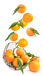 Set of fresh ripe tangerines falling on white background