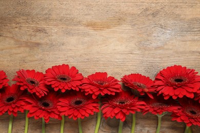 Beautiful bright gerbera flowers on wooden background, flat lay. Space for text