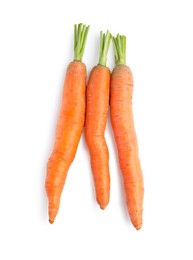 Photo of Tasty ripe carrots on white background, top view