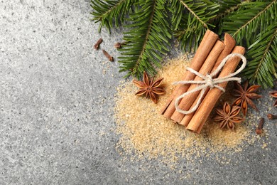 Photo of Different spices and fir branches on gray table, flat lay. Space for text