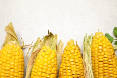 Photo of Delicious grilled corn cobs on light table, flat lay. Space for text