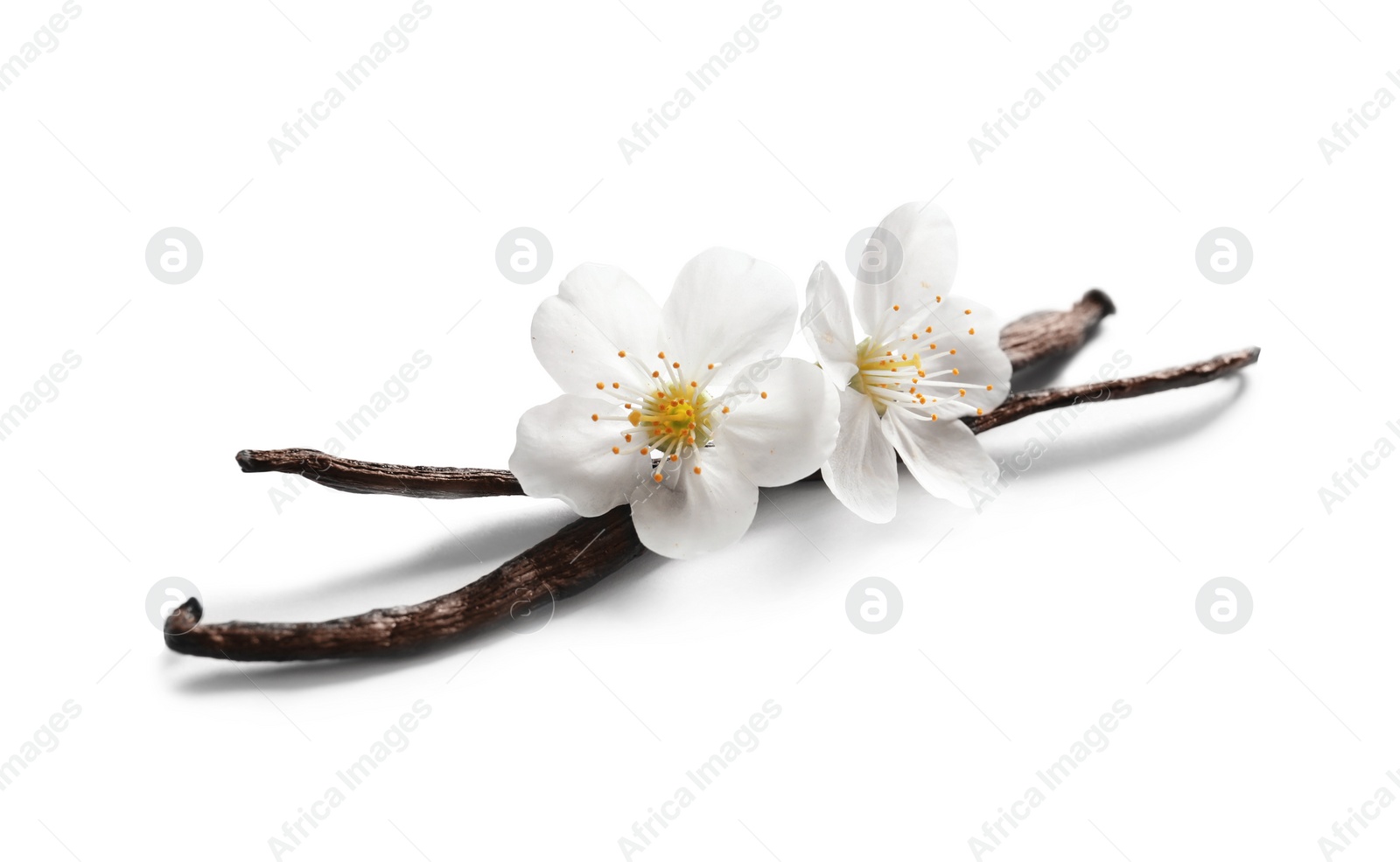 Photo of Vanilla sticks and flowers on white background