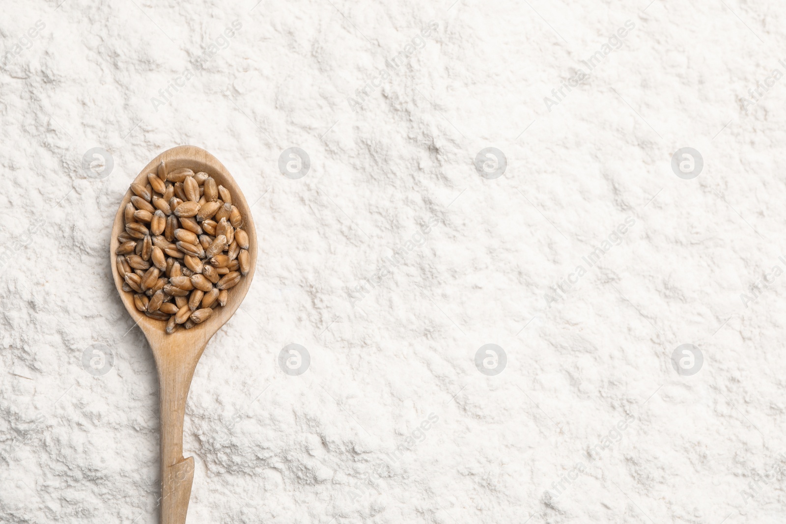 Photo of Spoon with wheat grains on flour, top view. Space for text