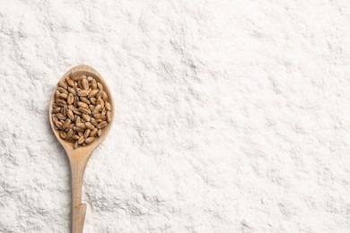 Photo of Spoon with wheat grains on flour, top view. Space for text