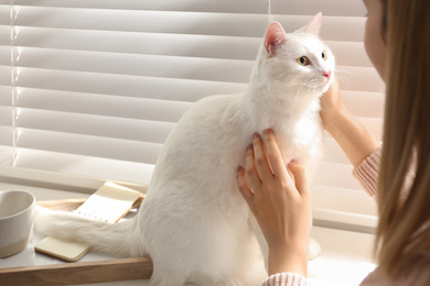 Young woman petting her beautiful white cat at home, closeup. Fluffy pet