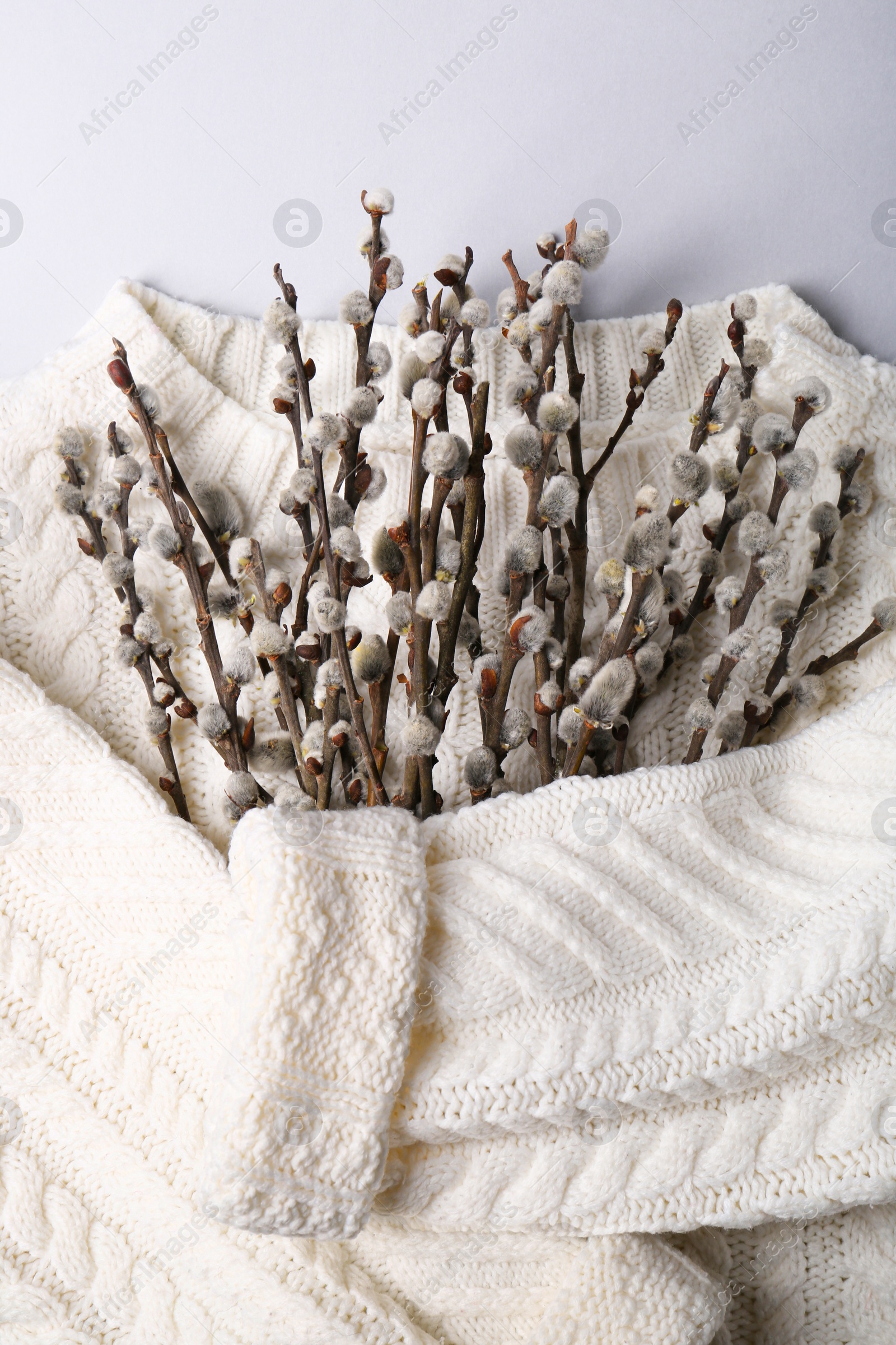 Photo of Beautiful blooming willow branches wrapped in white sweater on light grey background, top view