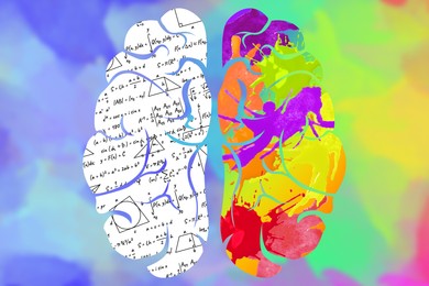 Image of Logic and creativity. Illustration of brain with one bright painted hemisphere and another with different formulas