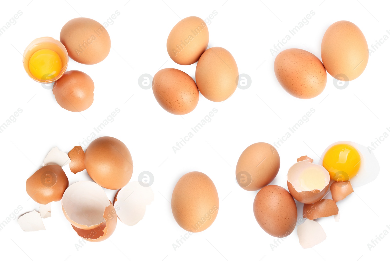 Image of Set with many eggs and yolks on white background, top view