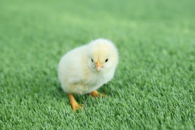 Photo of Cute chick on green artificial grass outdoors, closeup. Baby animal