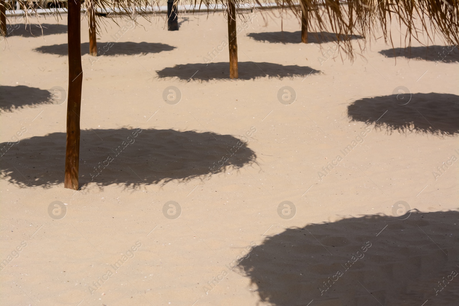 Photo of Shadows from umbrellas on sandy beach. Tropical resort