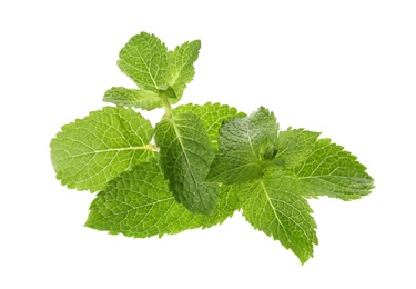 Photo of Leaves of fresh mint on white background