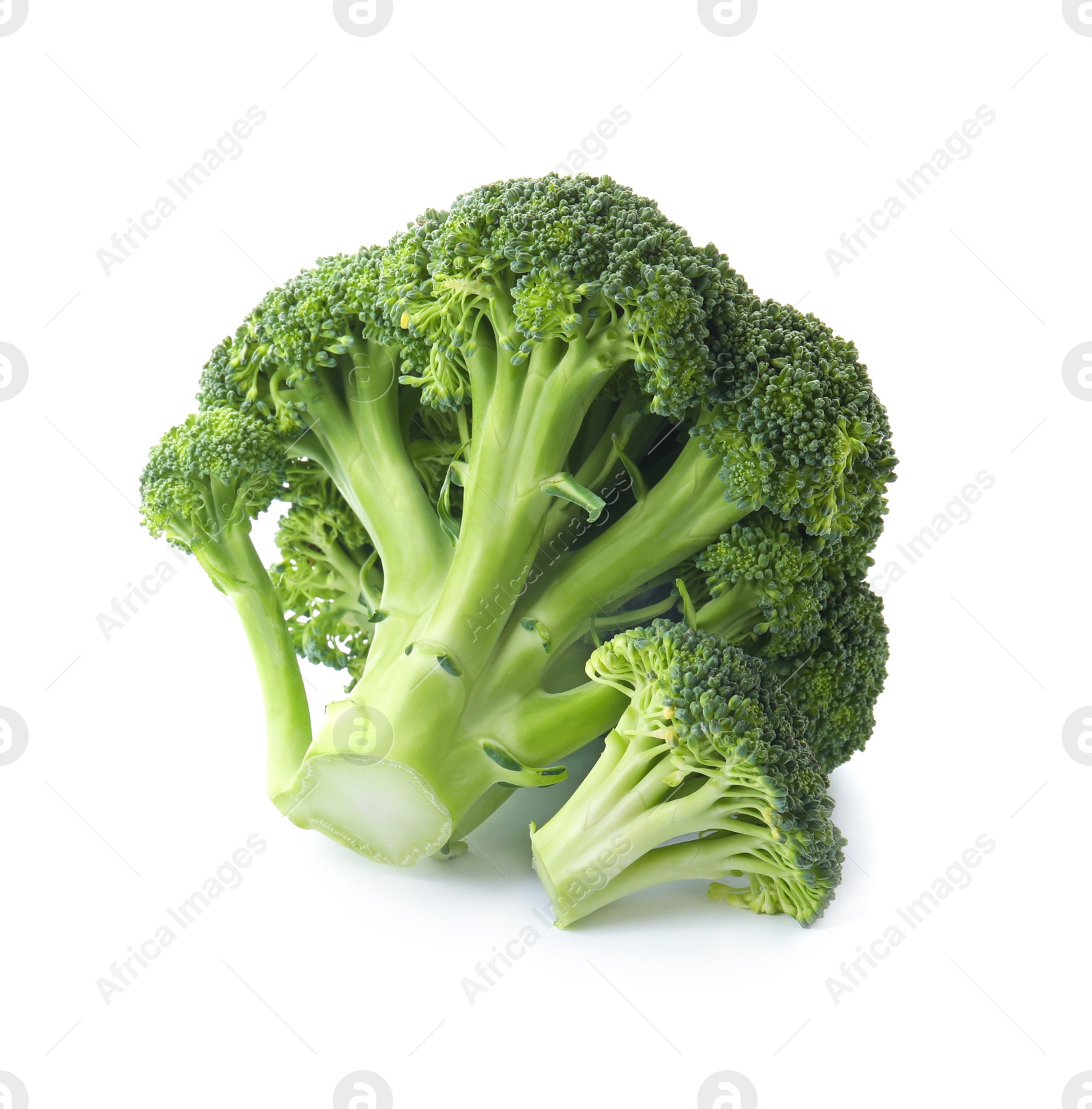 Photo of Fresh broccoli isolated on white. Edible green plant