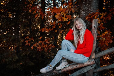 Full length portrait of beautiful young woman sitting on wooden fence in autumn forest. Space for text