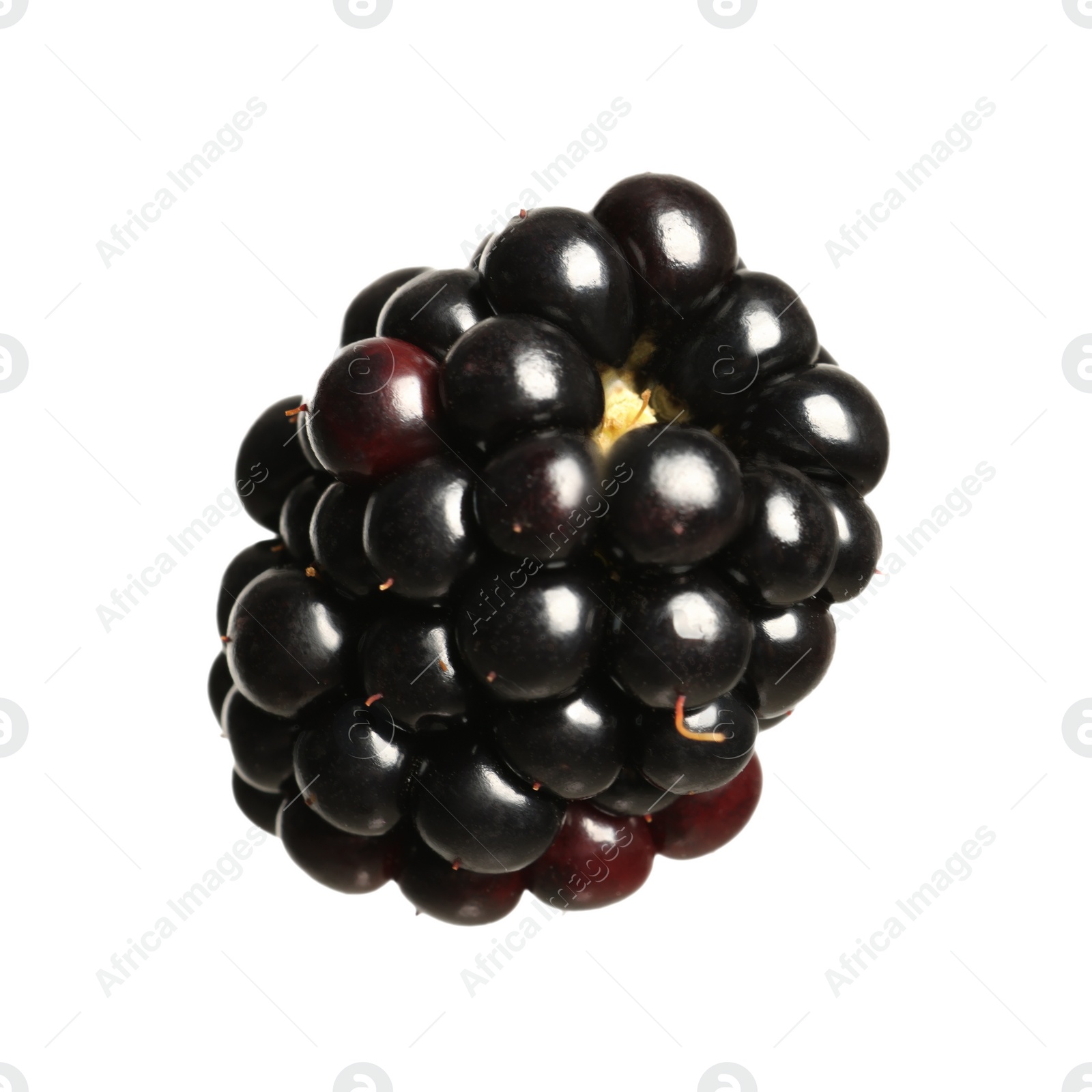 Photo of One tasty ripe blackberry isolated on white