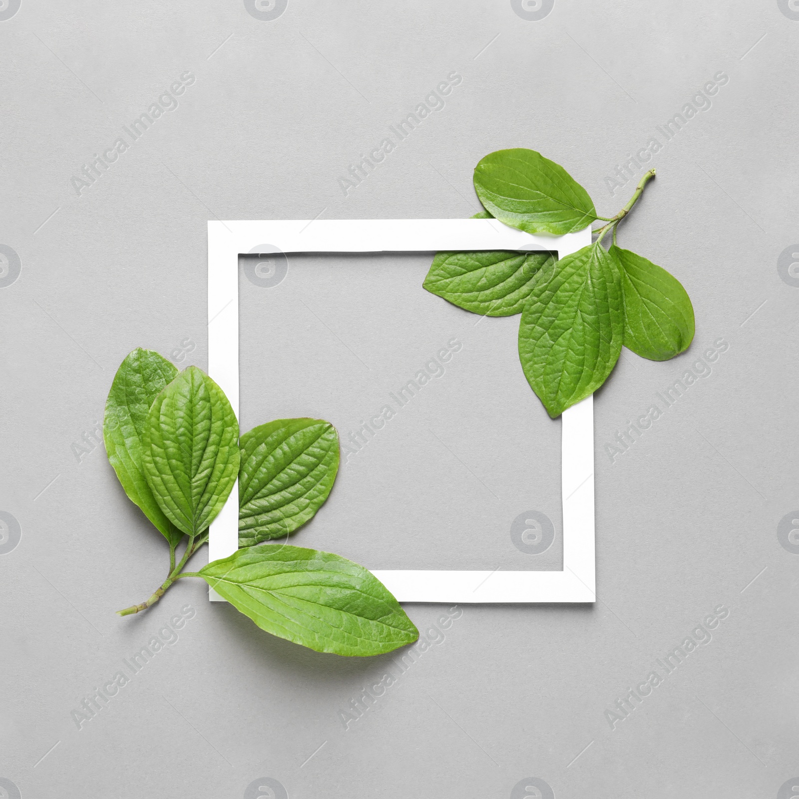 Photo of Flat lay composition with green leaves on color background. Space for text