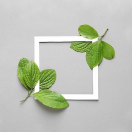 Photo of Flat lay composition with green leaves on color background. Space for text