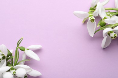 Beautiful snowdrops on lilac background, flat lay. Space for text