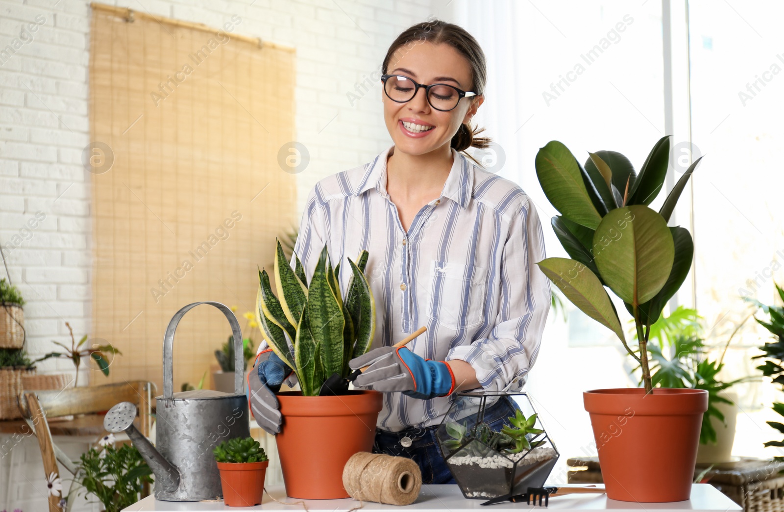 Photo of Young woman taking care of potted plants at home