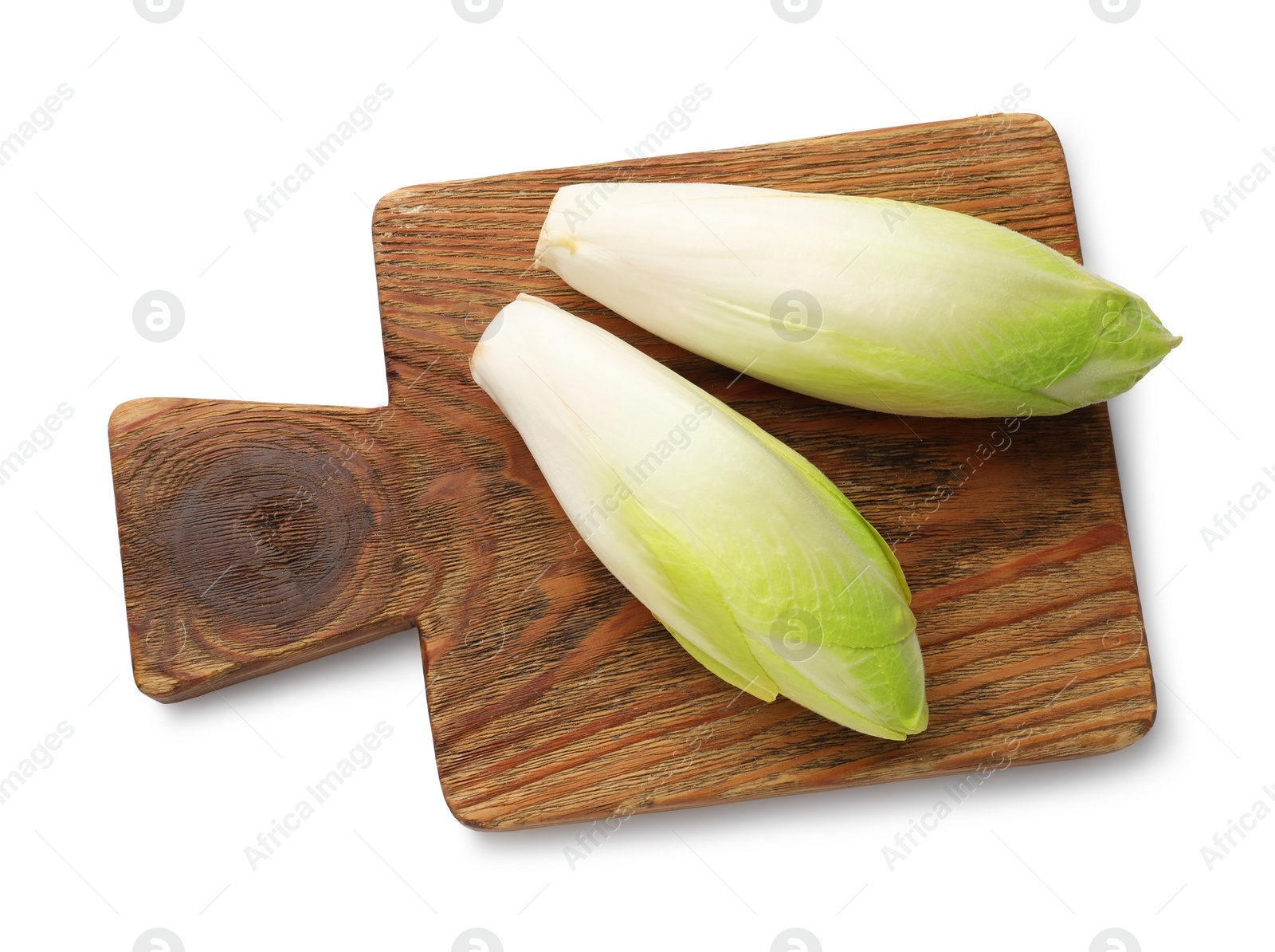 Photo of Raw ripe chicories on white background, top view