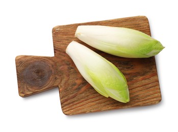 Raw ripe chicories on white background, top view