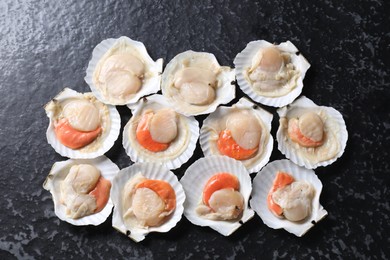 Photo of Fresh raw scallops with shells on black textured table, flat lay