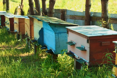 Photo of Many beautiful wooden beehives at outdoor apiary