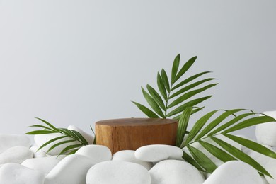 Photo of Presentation for product. Wooden podium and green twigs on white pebbles. Space for text