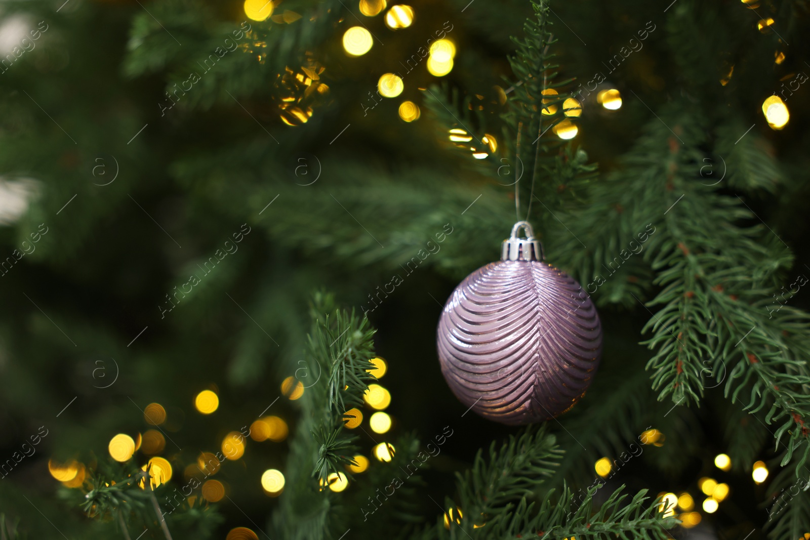 Photo of Beautiful Christmas ball hanging on fir tree branch, closeup