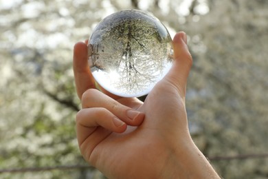 Photo of Beautiful tree with white blossoms outdoors, overturned reflection. Man holding crystal ball in spring garden, closeup