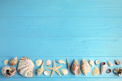 Flat lay composition with beautiful starfish and sea shells on blue wooden table, space for text